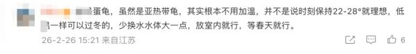 男子节后返家发现13只宠物龟全被“煮”了：温控设备失灵