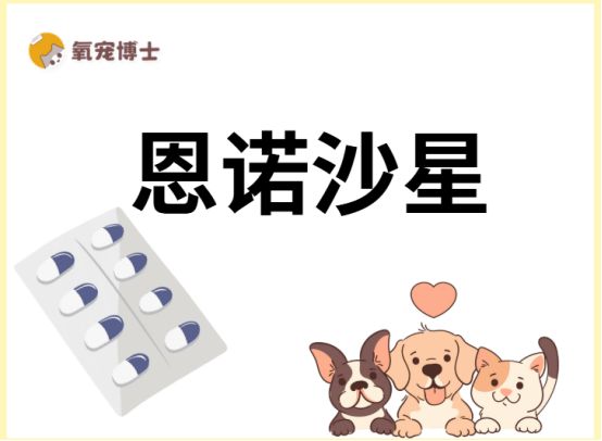 兽用恩诺沙星主要治疗什么病？