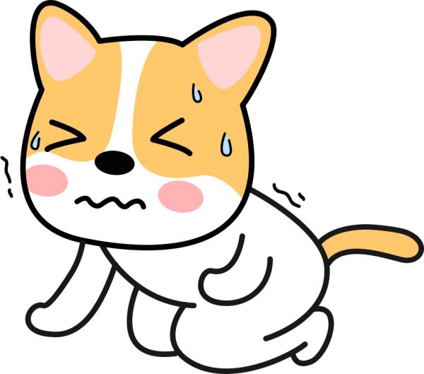 兽药恩诺沙星可以治疗什么病？