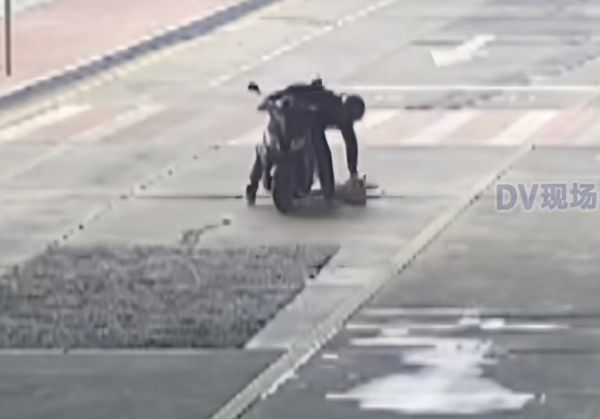 广东一宠物狗受惊吓跑出家门，监控拍到倒地抽搐被骑车男子拎走，女主人网络悬赏