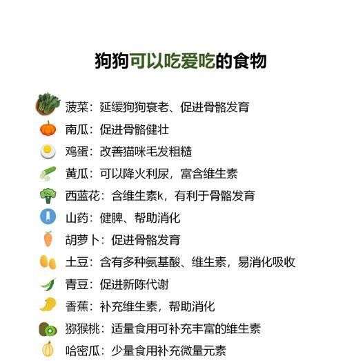 宠物狗狗就吃肉不吃饭应该怎么办？