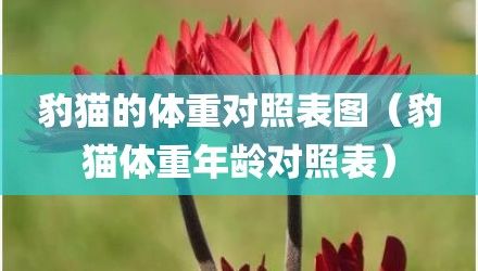豹猫的体重对照表图（豹猫体重年龄对照表）
