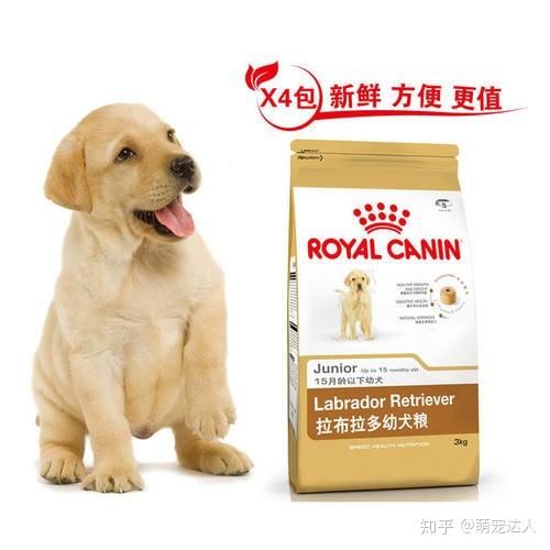 挑选宠物狗粮，品牌与成分兼顾