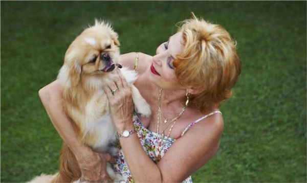 宠物上了年纪会变挑食?给宠物挑选狗粮,有什么注意事项吗?