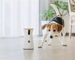 宠物狗摄影机怎么用的啊