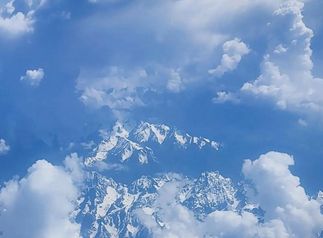 家庭宠物龟冬天怎么养