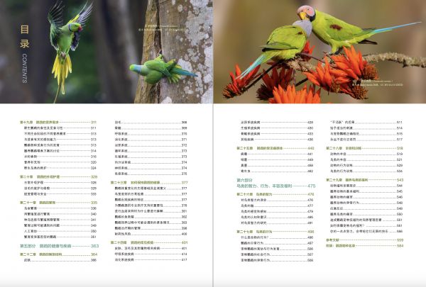 新手如何养鹦鹉？推荐《鹦鹉百科》入门书籍清单 第5张