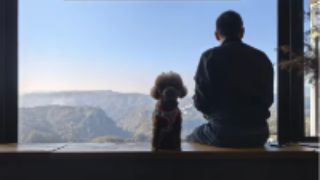 新春走基层|“宠物友好”带火新春乡村游