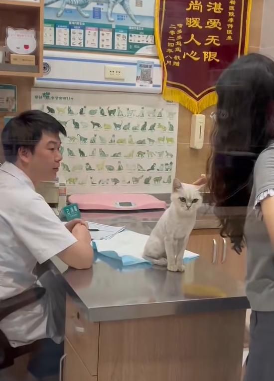 重庆瑞派名望动物医院专业团队