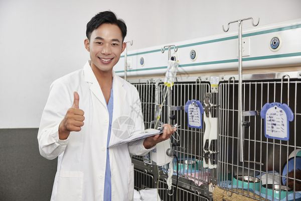 男性兽医点赞形象高清图片