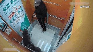 遛弯时受邻居家巨型犬惊吓致摔伤，法院判饲养人担责七成