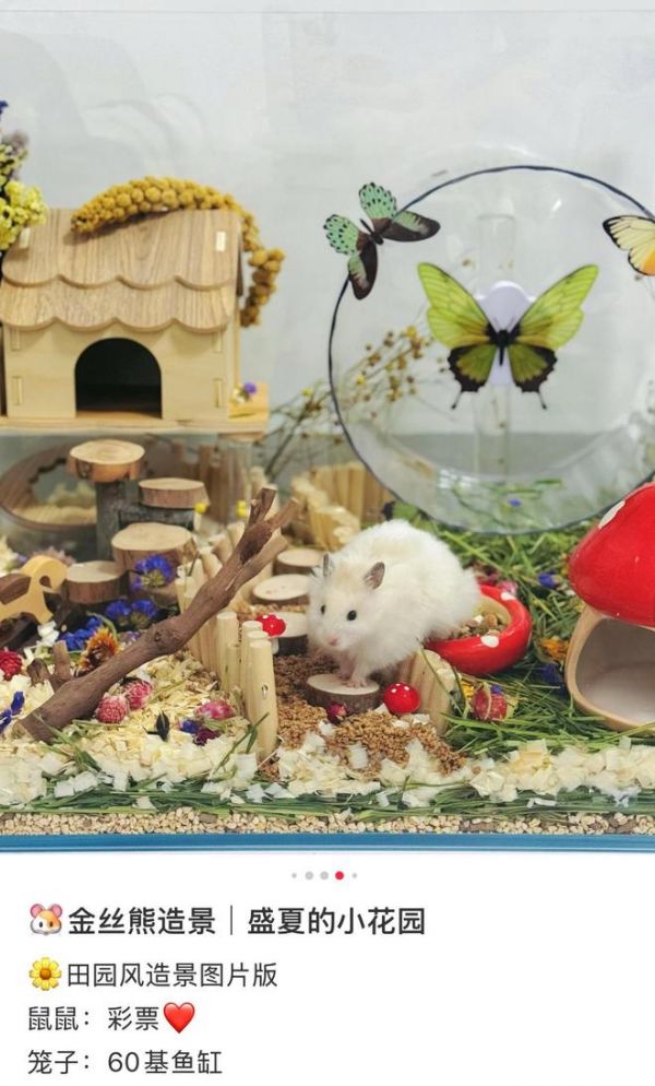 田园风造景展示 / 图源@棉花小小鼠(已授权)