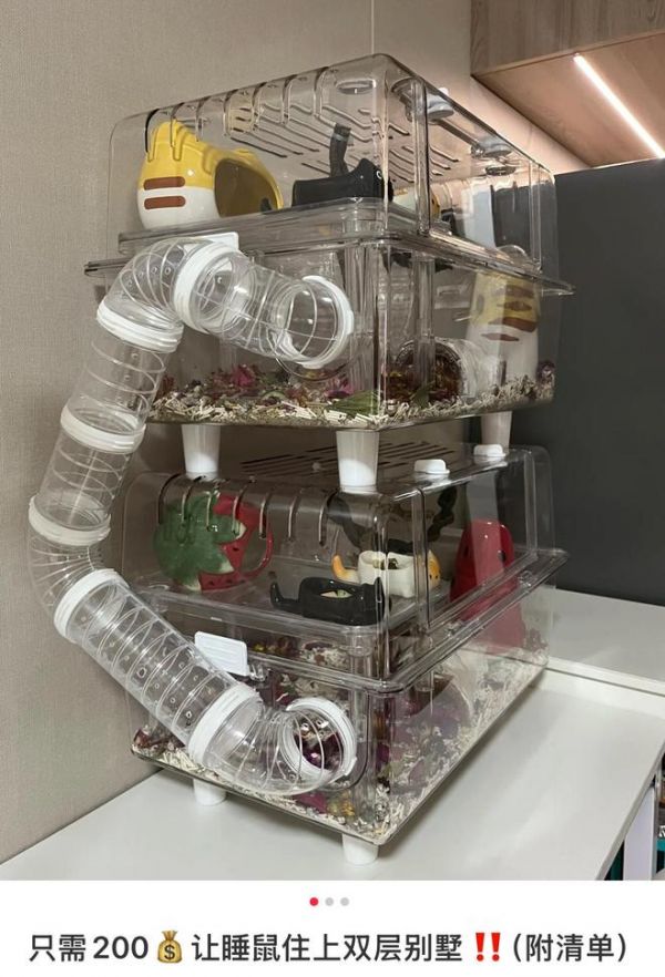 连通管道,为仓鼠打造叠叠乐小高层 / 图源博主@山山宗同学(已授权)