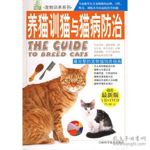 教如何养幼猫的书籍有哪些，养猫咪教程