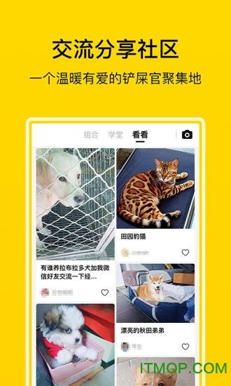 “宠物饮食，控制为先，健康相伴。”