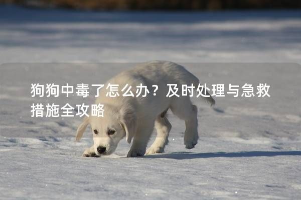 狗狗中毒了怎么办？及时处理与急救措施全攻略