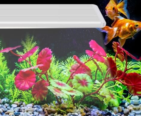 美悦宠物鱼缸杀菌怎么样