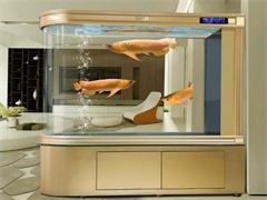 鱼缸维护，清理，改造，零售鱼，各式鱼缸