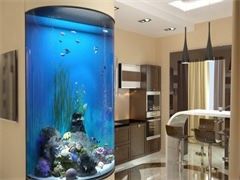 鱼缸维护，清理，改造，零售鱼，各式鱼缸