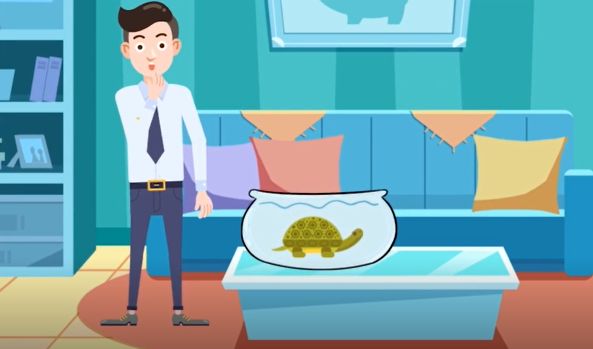 请点击输入图片描述