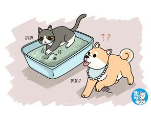 宠物行为探究：为何宠物避人触碰？