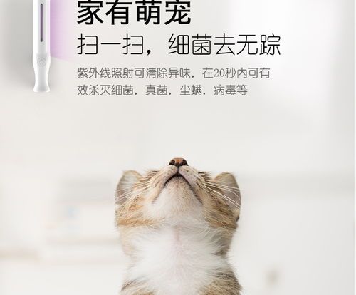 宠物猫消毒用品怎么用