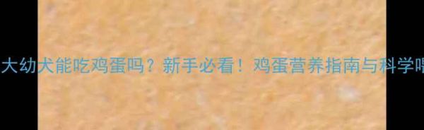 图片 2个月大幼犬能吃鸡蛋吗？新手必看！鸡蛋营养指南与科学喂养全