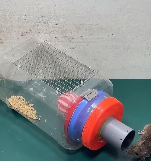 仓鼠管子安装方法：步骤和注意事项是什么？