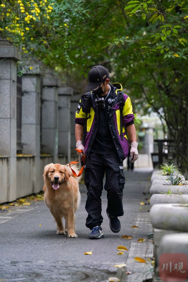 陈金和“Milky”在遛弯。 摄影 吴聃