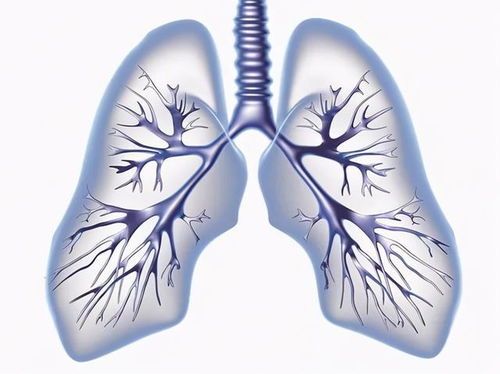 热带鱼烂鳃病的症状：快速识别与有效治疗指南