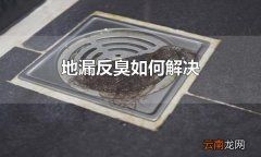 地漏反臭如何解决 地漏反臭可使用管道疏通剂解决