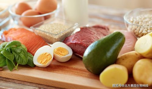 养宠物，如何科学搭配饮食？