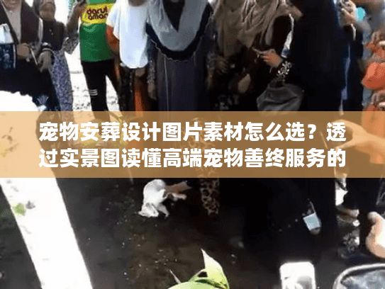 宠物安葬设计图片素材怎么选?透过实景图读懂高端宠物善终服务的核心