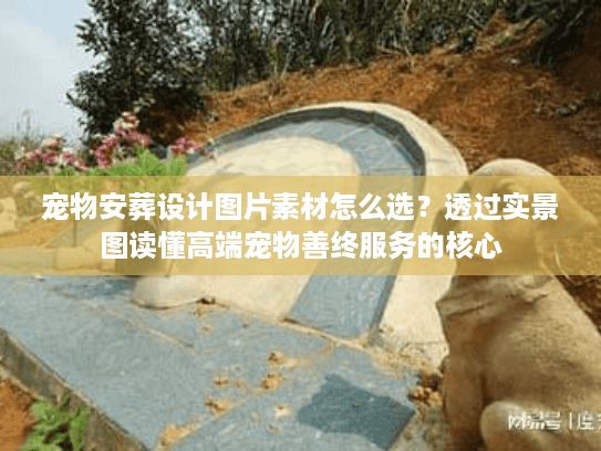 宠物安葬设计图片素材怎么选?透过实景图读懂高端宠物善终服务的核心