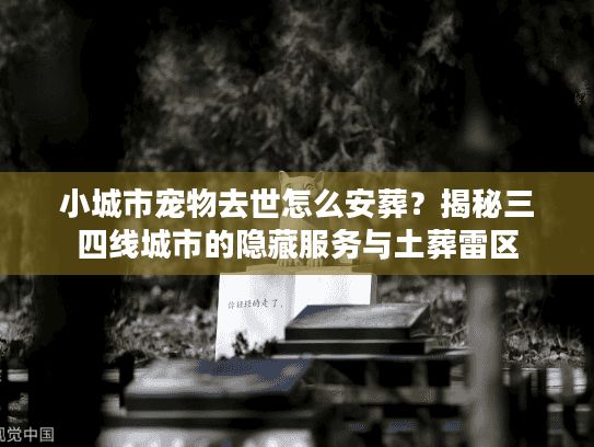 小城市宠物去世怎么安葬？揭秘三四线城市的隐藏服务与土葬雷区