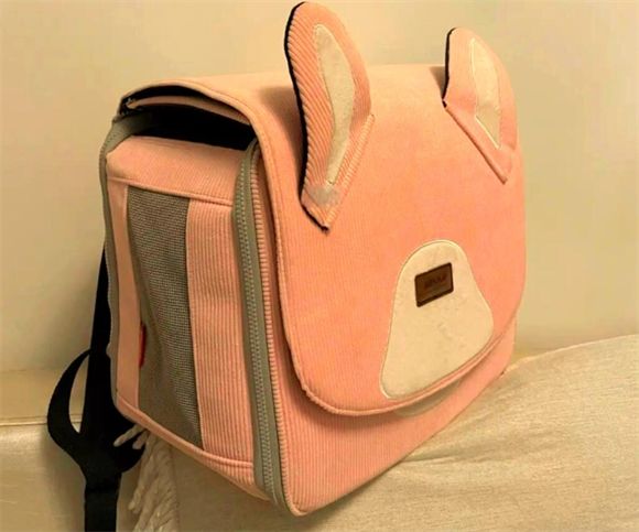 ARKIKA猫咪外出包选购指南：避免这些坑！