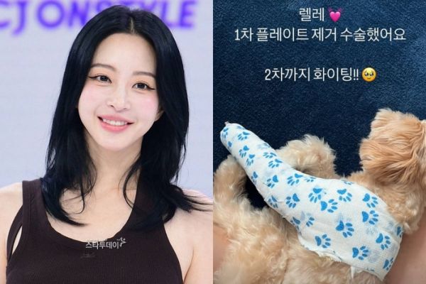 韩艺瑟。照片|Star Today DB，韩艺瑟 SNS