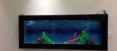 “打造个性化宠物鱼缸，定制指南”