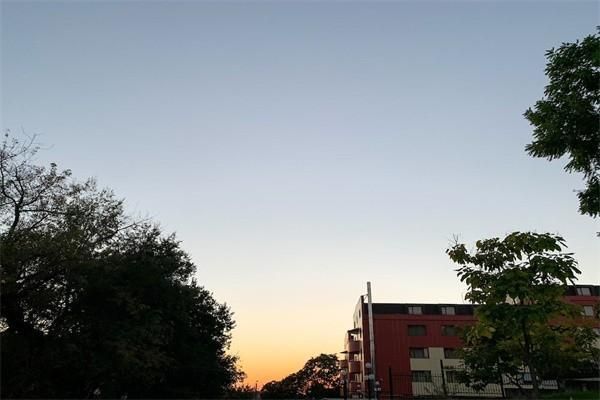 年金险属于分红险吗？年金险有哪些类型？