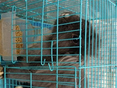 公园路大灯脚进来20米