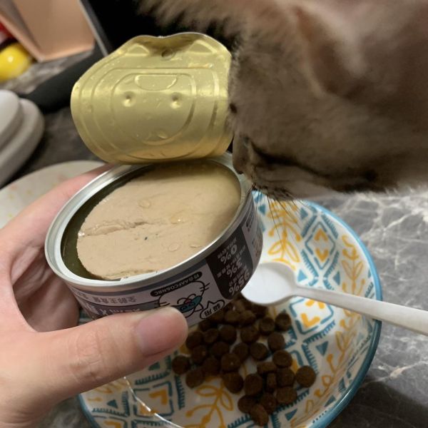 挑嘴貓愛上的第一罐主食罐