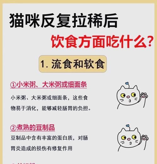 猫咪吃猫粮后腹泻怎么办？如何选择合适的猫粮？