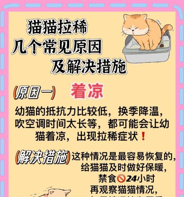 猫咪吃猫粮后腹泻怎么办？如何选择合适的猫粮？