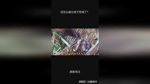 这怎么能让孩子受得了？