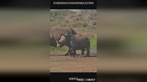 非洲旅游的快乐体验即使再重也无所畏惧