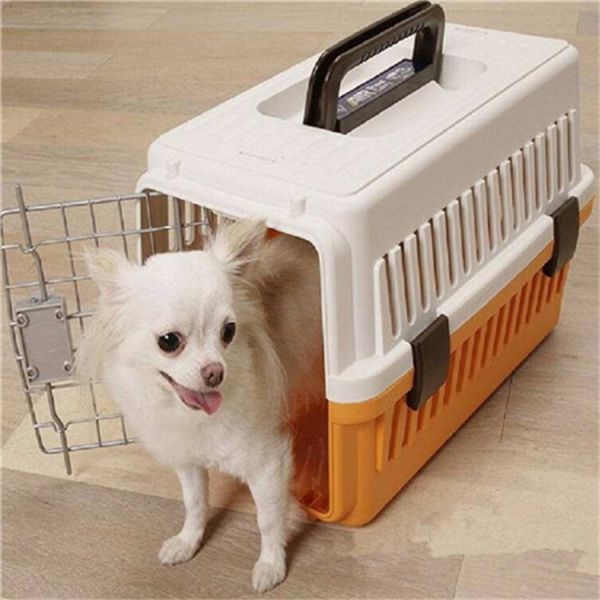 宠物猫狗运输: 广东深圳正规宠物托运宠物托运费用