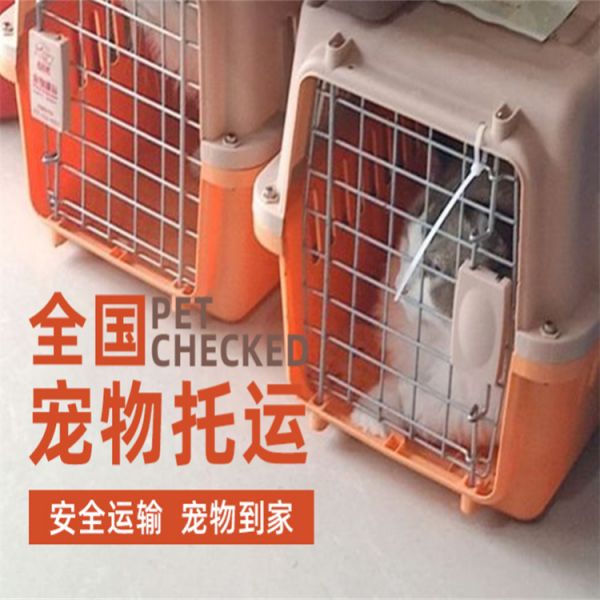 宠物猫狗运输: 广东深圳正规宠物托运宠物托运费用