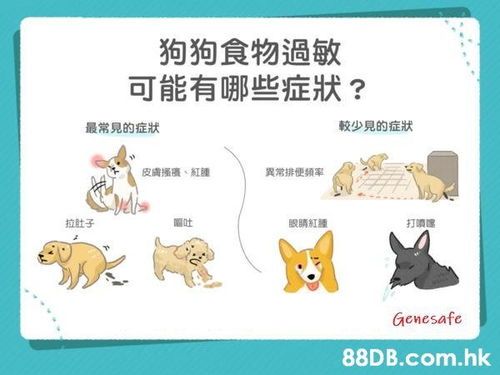 小鸟拉稀怎么办？宠物专家推荐食物疗法