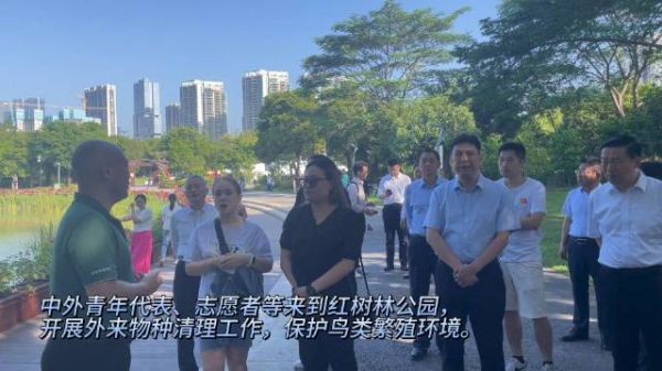 中外青年共同守护红树林,保护鸟类繁殖环境