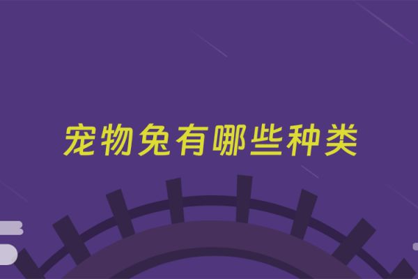 宠物兔有哪些种类